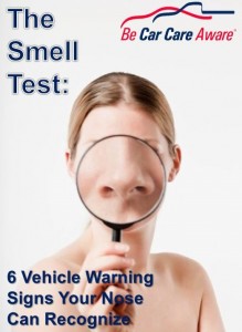 Smell-Test